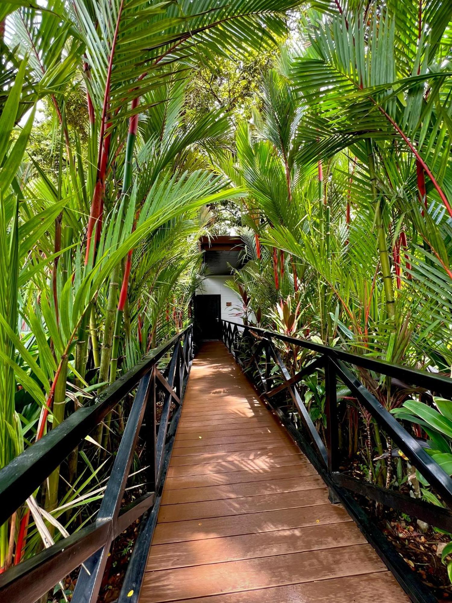 Hotel Boutique Casa Del Rio La Fortuna Bagian luar foto